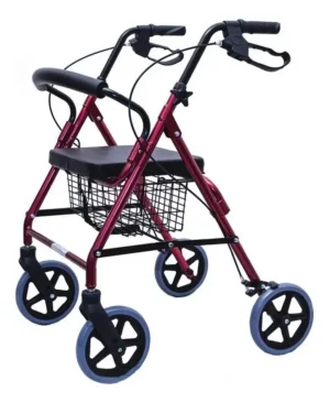Andador Rollator 4 Ruedas con Asiento, Frenos y Canasto